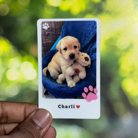 Pet Wallet Card